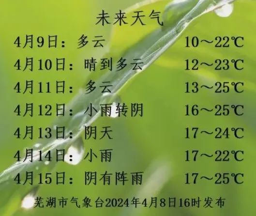 芜湖未来一周天气.|小雨|阴天|芜湖_新浪新闻