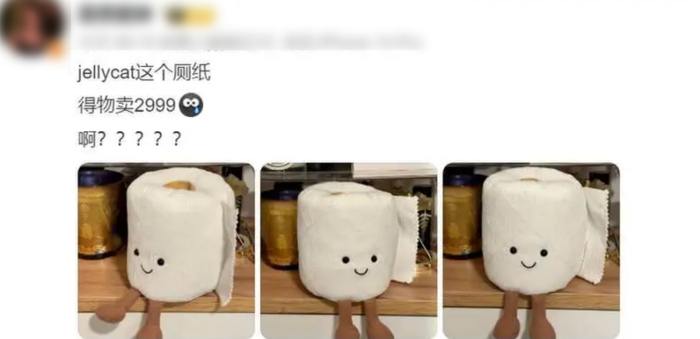 "2999元的厕纸,可以把我们整个小县城的人裹成木乃伊.