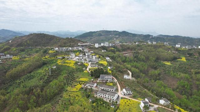 青春在美丽乡村中绽放——杨瑞|牛岭|杨瑞|美丽乡村_新浪新闻