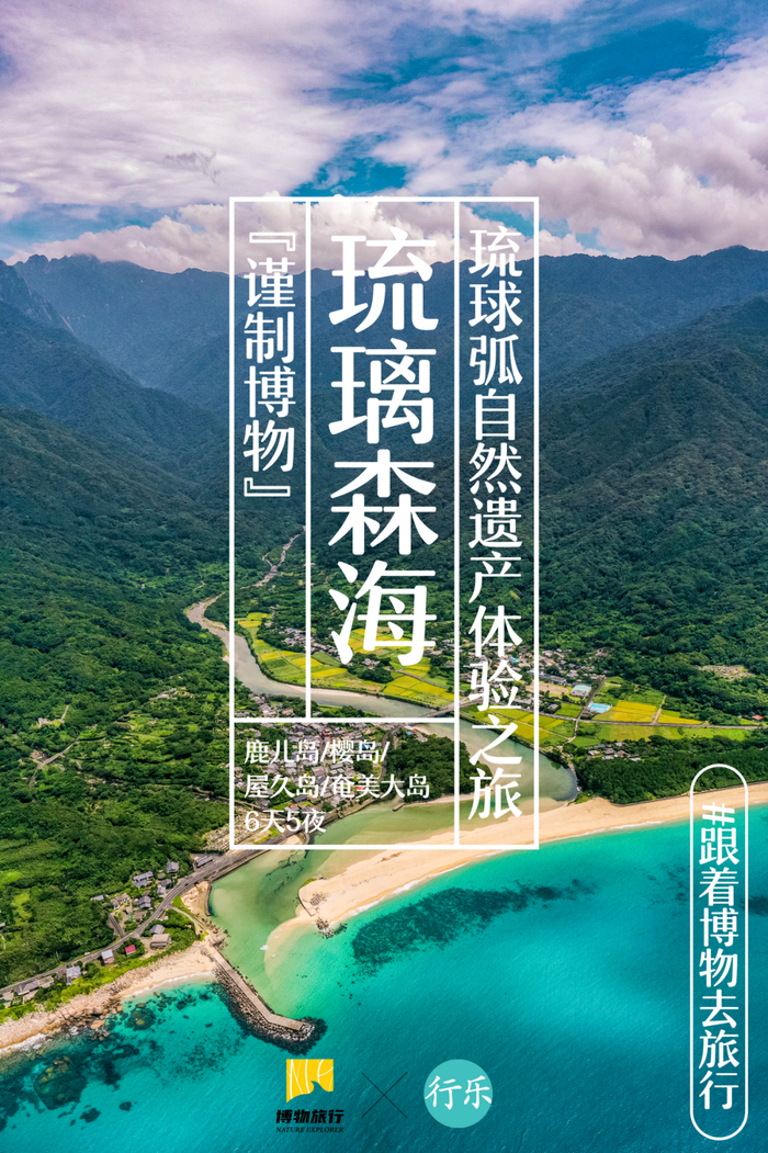 行乐携手《博物》,探索鹿儿岛两处自然遗产!|博物|行乐|城山_新浪新闻