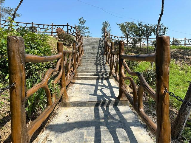 青春在美丽乡村中绽放——杨瑞|牛岭|杨瑞|美丽乡村_新浪新闻