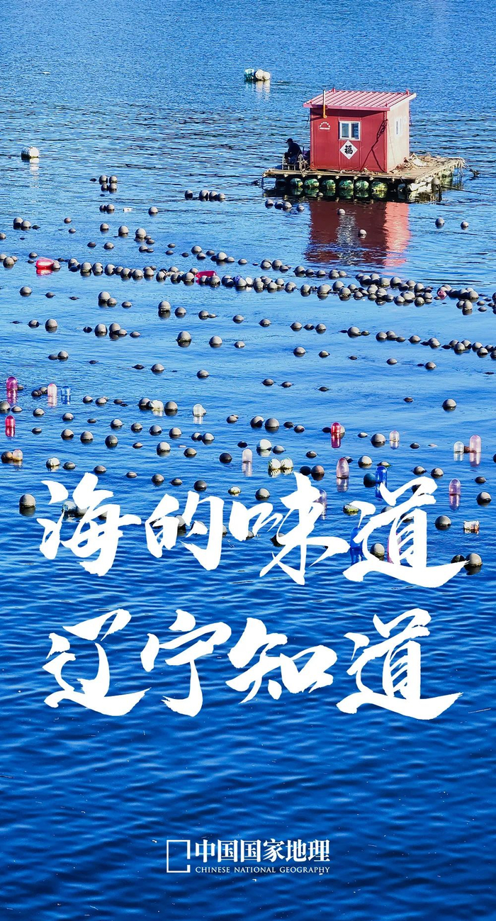 提到海鲜,大多会想到浙江,福建等沿海省份,提到东北,可能会想到铁锅炖