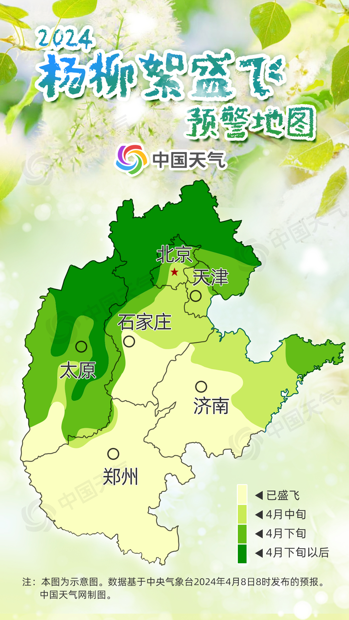 青岛明天有雨,最高气温24℃!近期还有这件事要注意