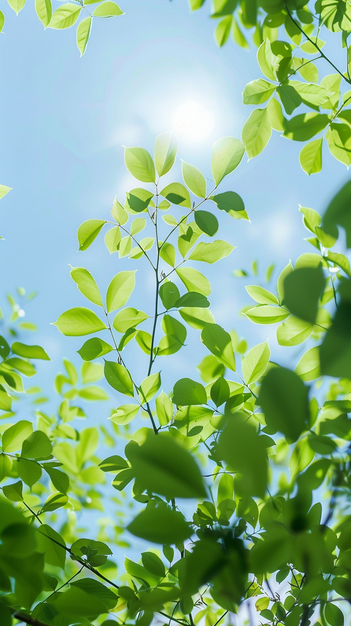 背景 壁纸 花 绿色 绿叶 树叶 植物 桌面 700_1249 竖版 竖屏 手机