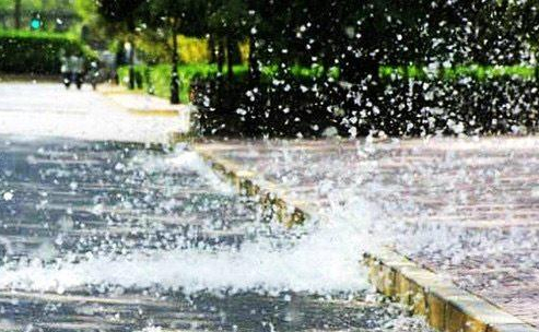 首个杨柳飞絮预报你没看错它又双叒来了