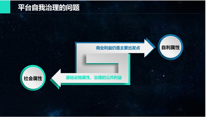 刘小鲁数字经济下的平台治理