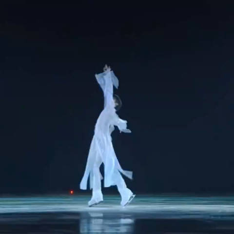 羽生结弦超话在燕式前拉链已经崩开了后面越崩越大允悲zu的专业性无话