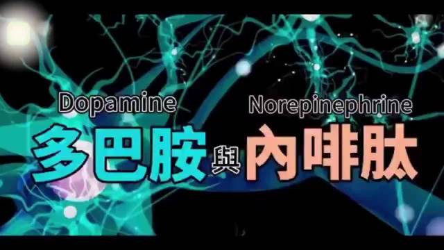 多巴胺与内啡肽的区别