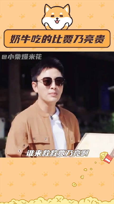 奶牛吃得比贾乃亮贵好好好这下谁还分得清到底谁才是大明星啊贾乃亮