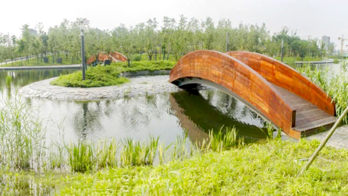 来桃浦走进中心城区最大的城市绿洲