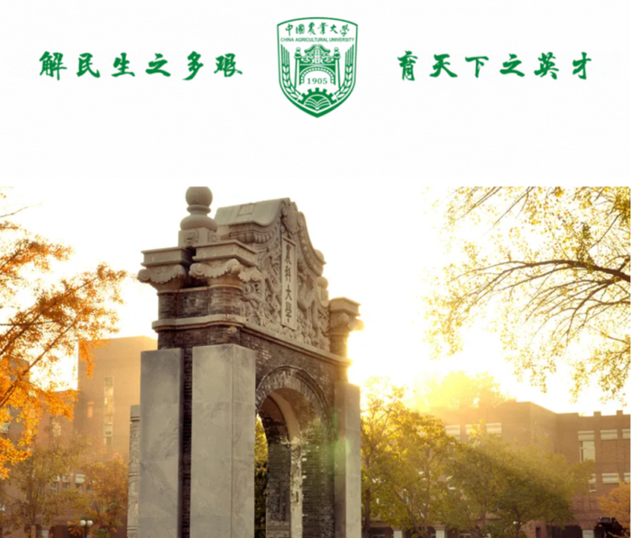 强基计划|复旦大学|武汉大学_新浪新闻