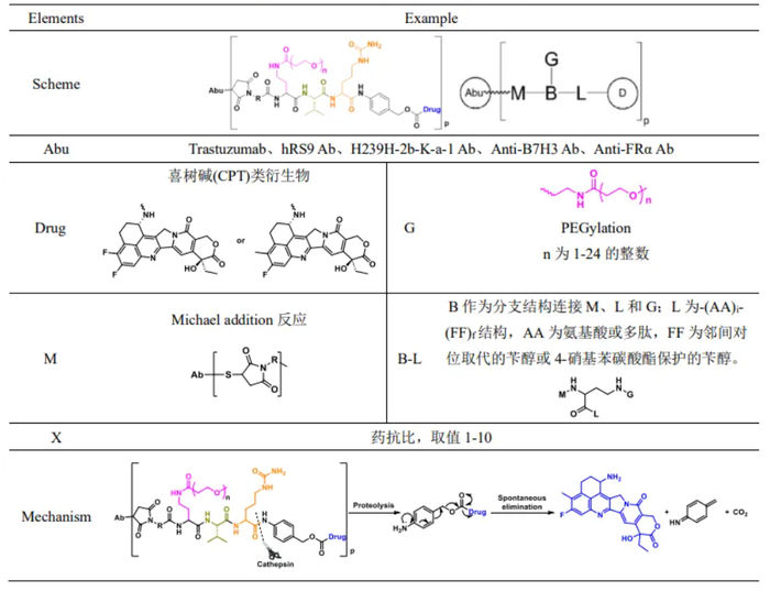 （百奥泰WO2023061457专利技术介绍  图源：医药速览）