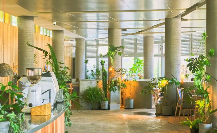 来桃浦走进中心城区最大的城市绿洲