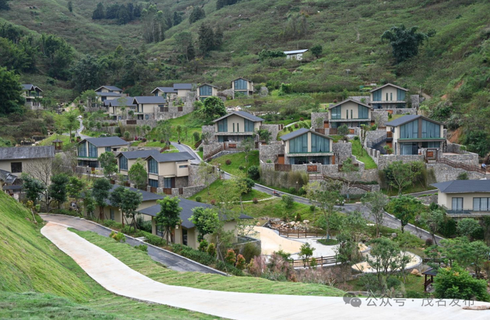 信宜钱排李花谷。