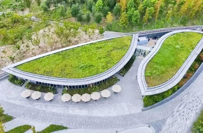 来桃浦走进中心城区最大的城市绿洲