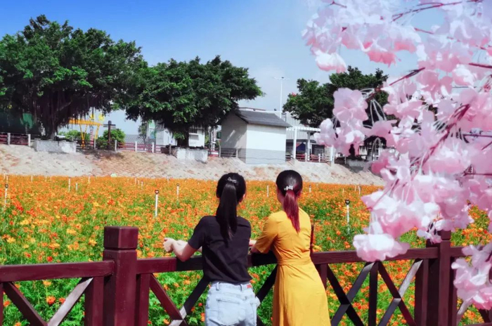 ▲七彩花田。图源：文旅佛山