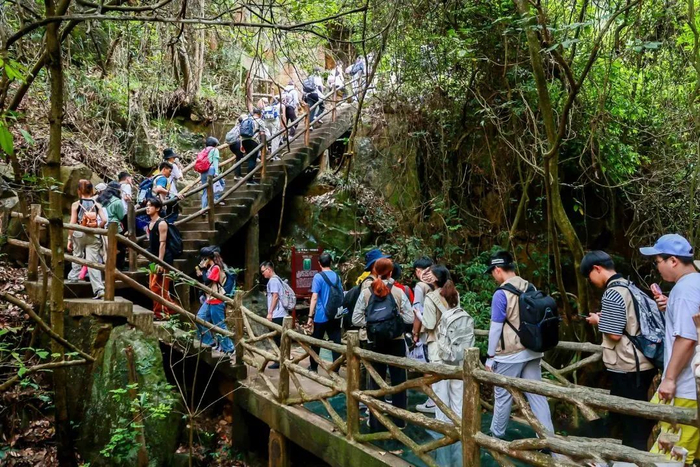 ▲三水南丹山。图源：南丹山森林王国