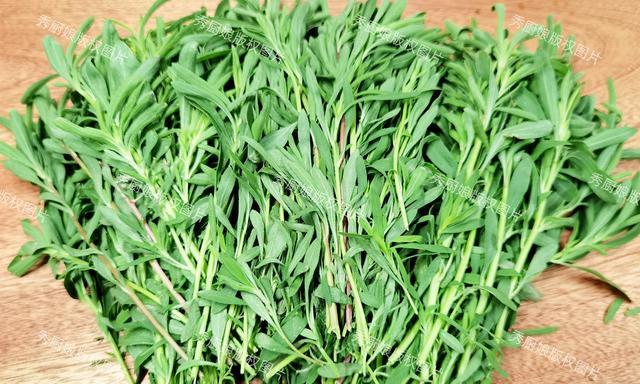 经常上火多吃点,随手一蒸太香了|大自然|扫帚菜|野菜_新浪新闻