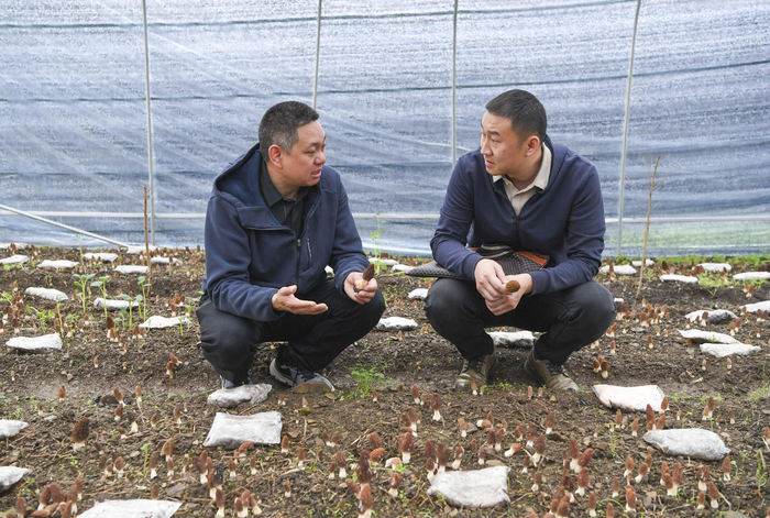 乡村"新职业"丨"乡村ceo":用经营专长蹚出乡村产业振兴新路