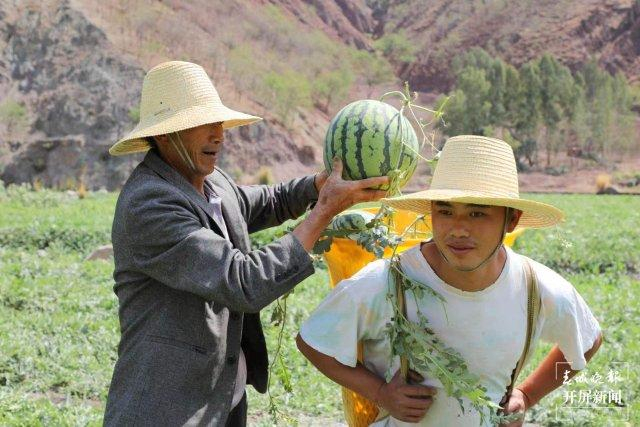 美好生活在云南|曲靖会泽小江西瓜"甜蜜"上市|云南省|曲靖市_新浪新闻