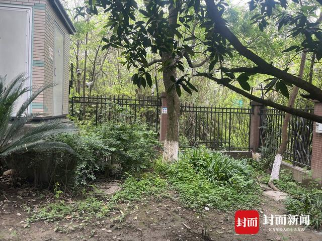 荒地与小区相连的建筑缺口。杜卓滨 摄