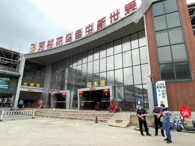 火灾后的广州芳村花鸟市场:档主抓紧救鱼,工艺品馆等暂时封闭|鱼|广州