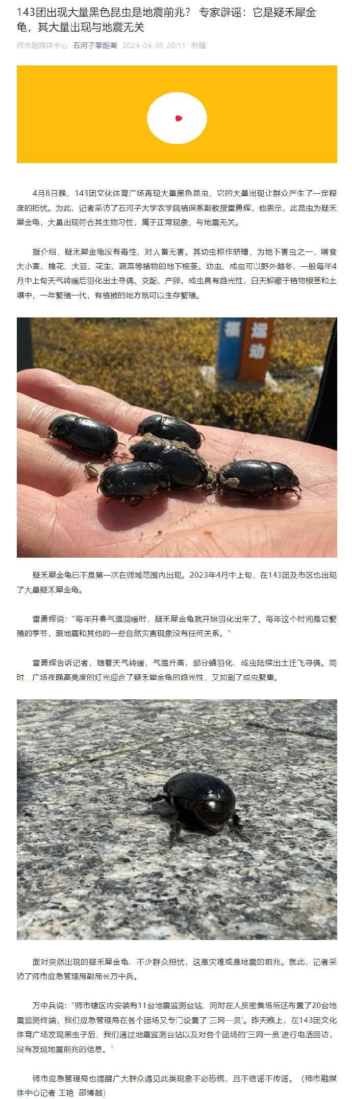 专家辟谣:它是疑禾犀金龟,其大量出现与地震无关