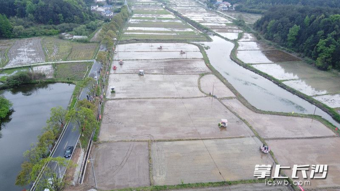 长沙县路口镇农机带路春耕加速