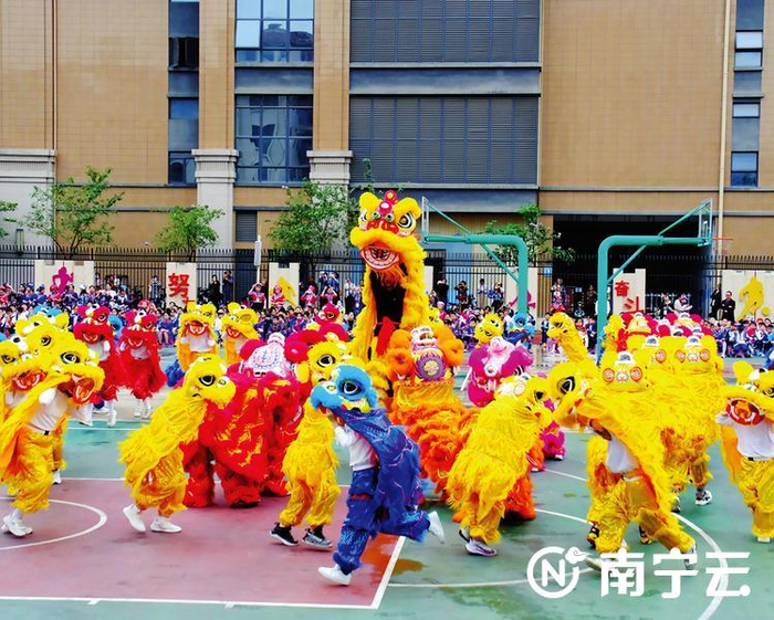 南宁市北际路小学北际龙狮社团带来精彩的《百狮献瑞庆歌节》节目。记者 黄运明 摄