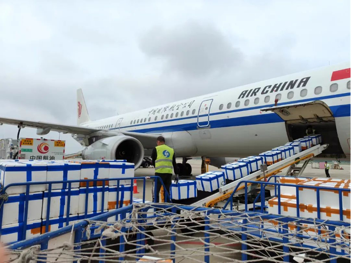 6%!湛江机场一季度货邮量攀升|蔬果_新浪