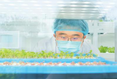 光明花博邨的工作人员正在为科技小院大赛新赛季做种苗等方面的准备工作。高祎祺 摄