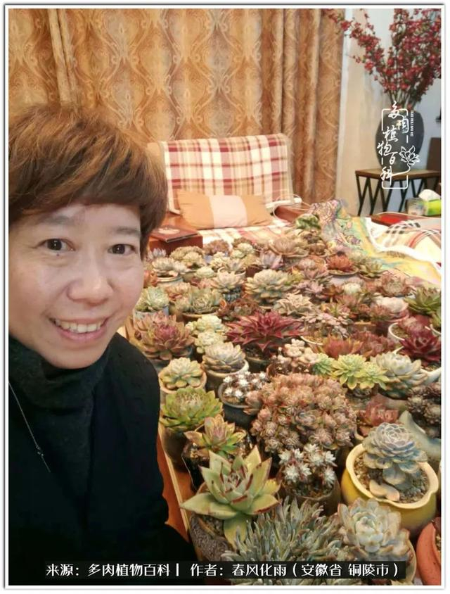 回看2020年4月百科推文的图,都是我用心摆拍的肉宝证件照,品种多,养的