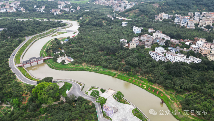 高州市根子镇桥头村。