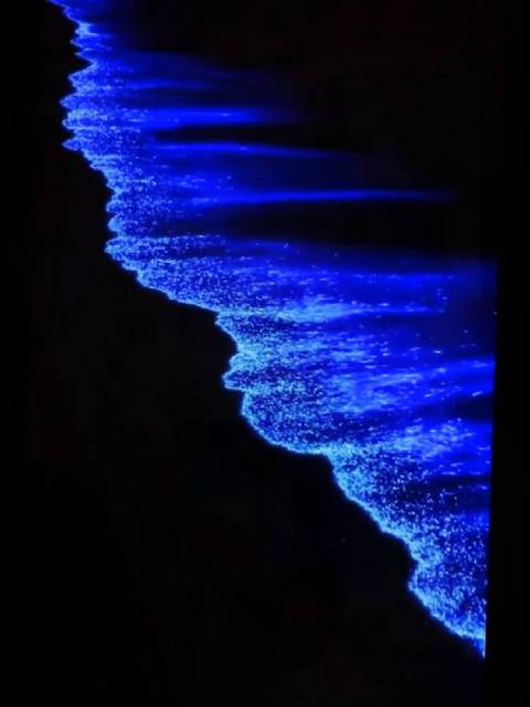 来海陵岛蹲蓝眼泪