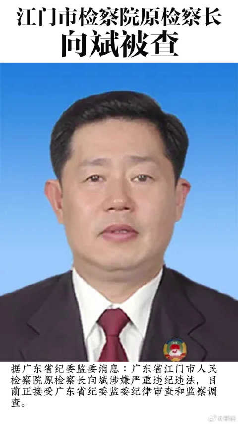 江门市检察院原检察长向斌被查