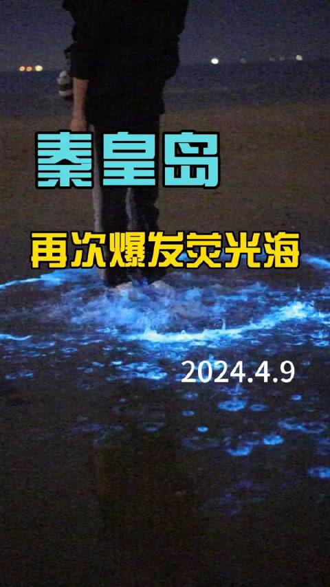 最近秦皇岛又现荧光海啦触及海面的瞬间仿佛看到了星河流淌