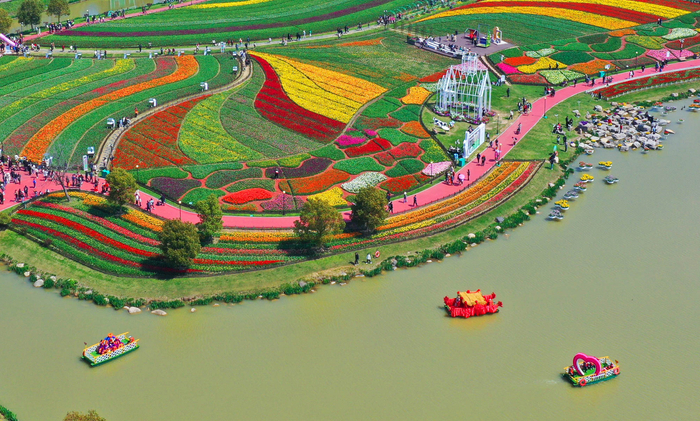 畅游花海 乐享春光|花海|江苏省|安徽省_新浪新闻