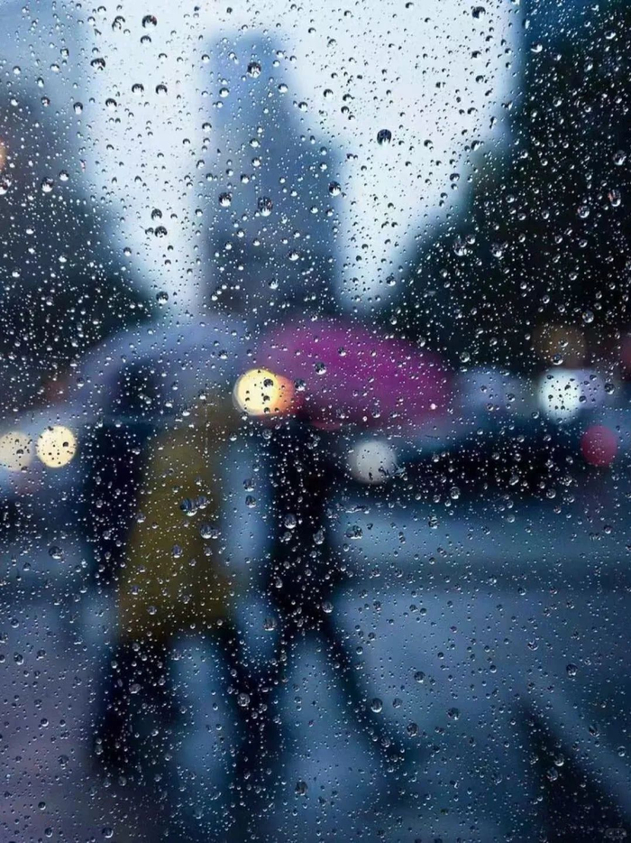 谁懂雨天独有的潮湿暧昧艺外