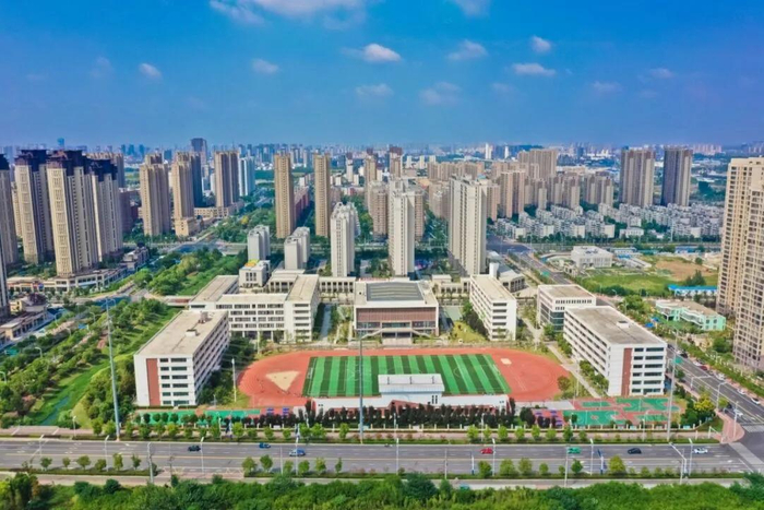 要建一批学校……|小学|阜阳市|中学_新浪新闻