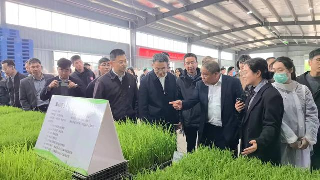 抢抓机遇 加快培育我省植保新质生产力|植保无人机|植保|浙江_新浪