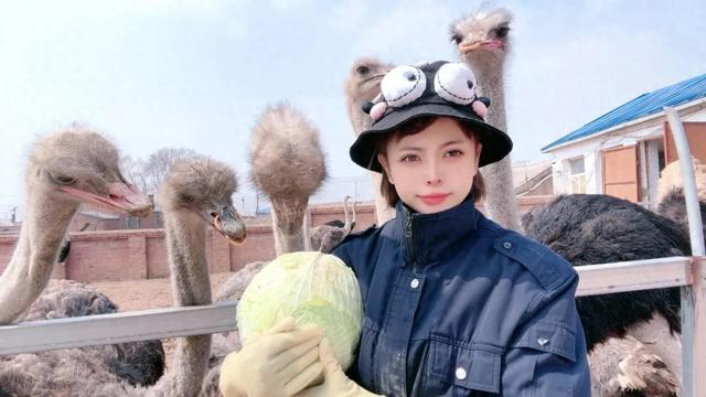 东北美女直播卖鸵鸟,年销400万,中学生也成了铁粉|王雪|直播_新浪新闻