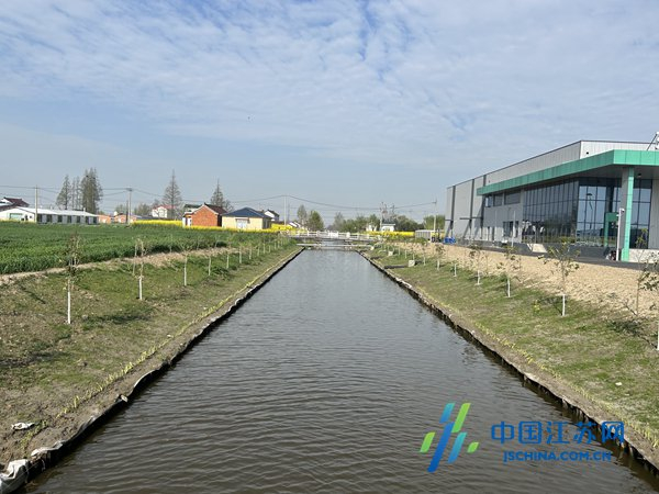 东台市许河镇加强河道巡查建设水美生态