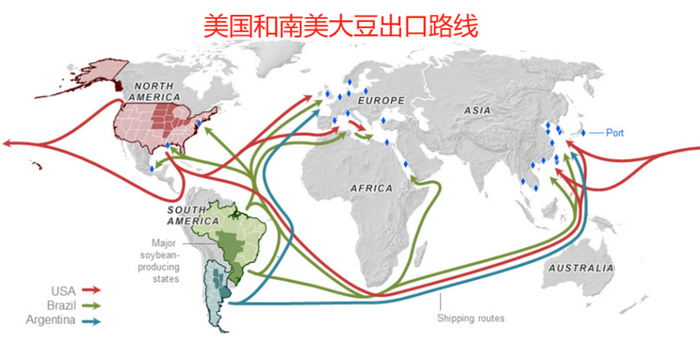 数据来源：Comex Stat，大地期货研究院