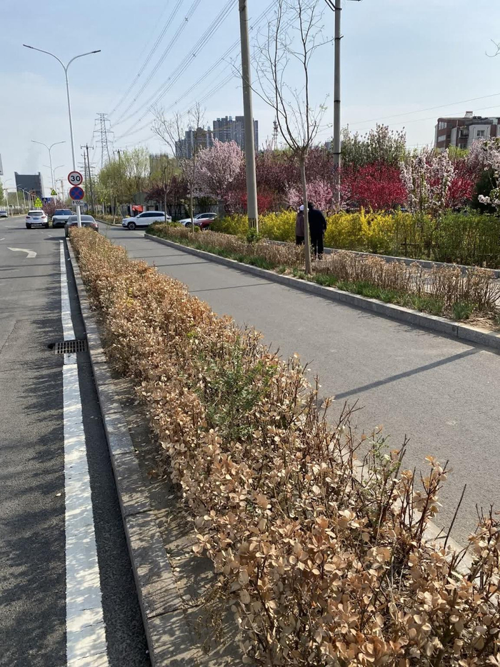 然而,融雪剂的主要成分是盐类含氯物质,对路面,车辆和周边