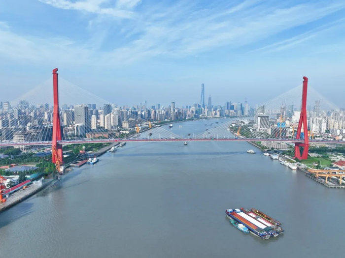杨浦这片最热沃土上热带雨林始终向新而生