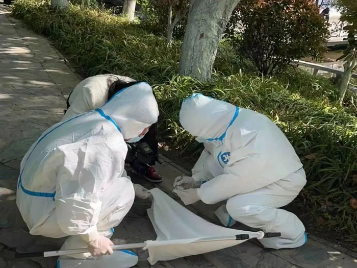 江都1天捕获43只|蜱虫|疾病|新冠肺炎_新浪新闻