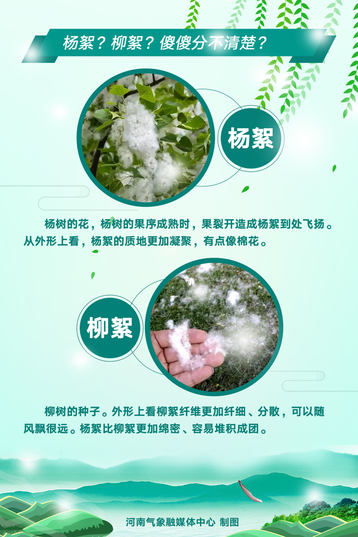 带上口罩河南最新杨柳絮盛飞预警地图出炉