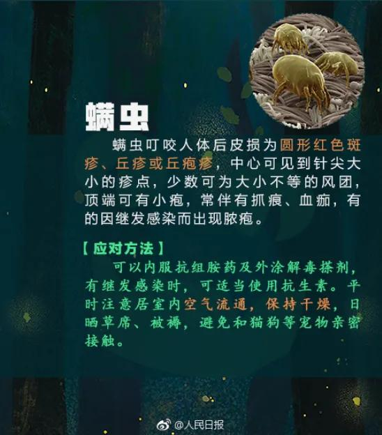 有人崩溃:家里太多了……千万注意→|蝽|臭屁虫|虫卵_新浪新闻