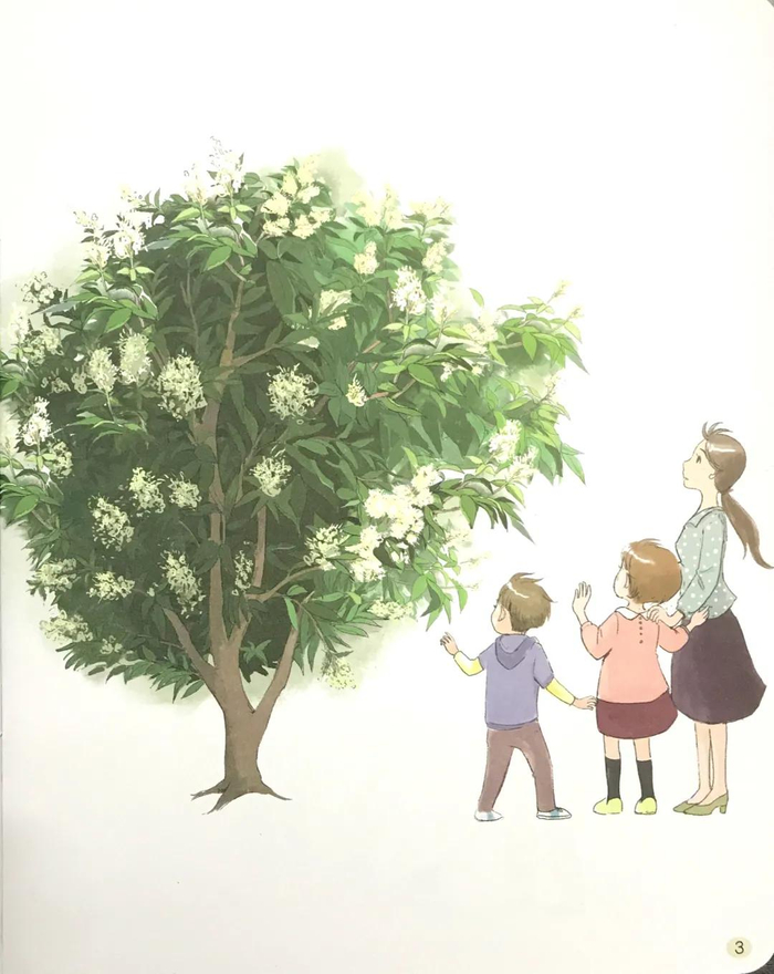 攀登英语分级阅读第六级 7 the lychee tree|荔枝|荔枝树|外婆_新浪