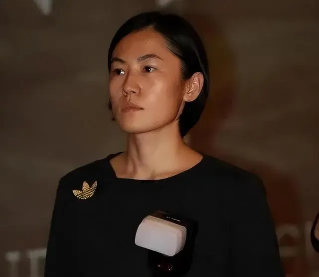 曾插足王菲婚姻,如今被指控偷税漏税|高原|高源|窦唯_新浪新闻